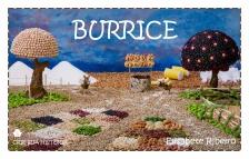 Burrice